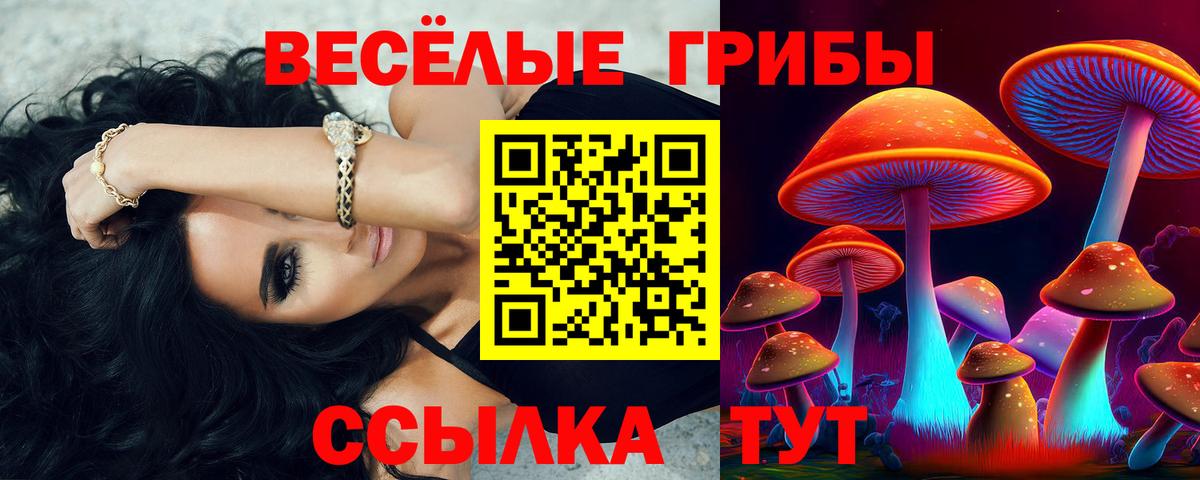 продажа наркотиков  Вход с VPN  Надым  Псилоцибиновые грибы прущие грибы 