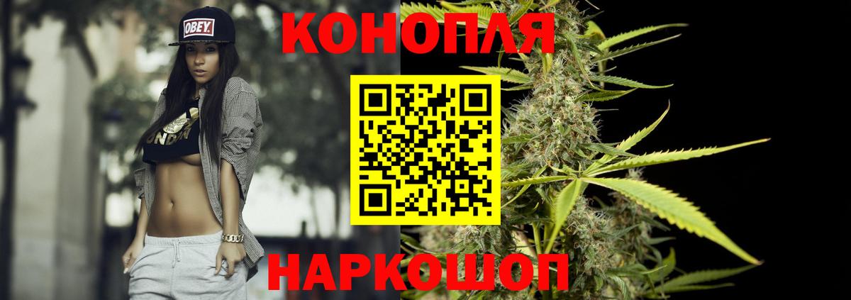 Марихуана сатива Надым